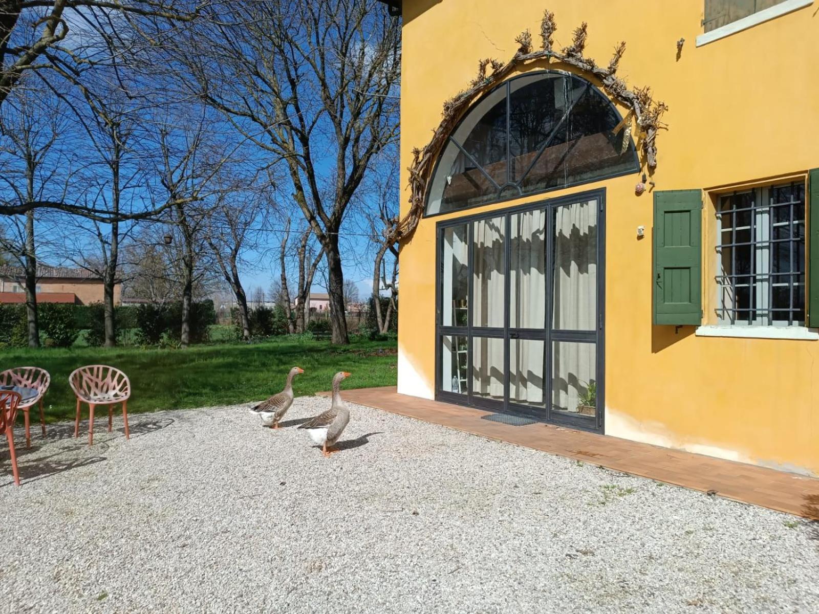 La Rosa Selvatica Bed & Breakfast Ravarino Exterior photo